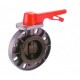 Butterfly Valve