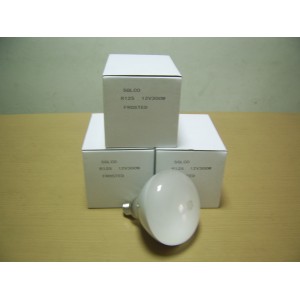 /99-206-thickbox/light-bulb.jpg